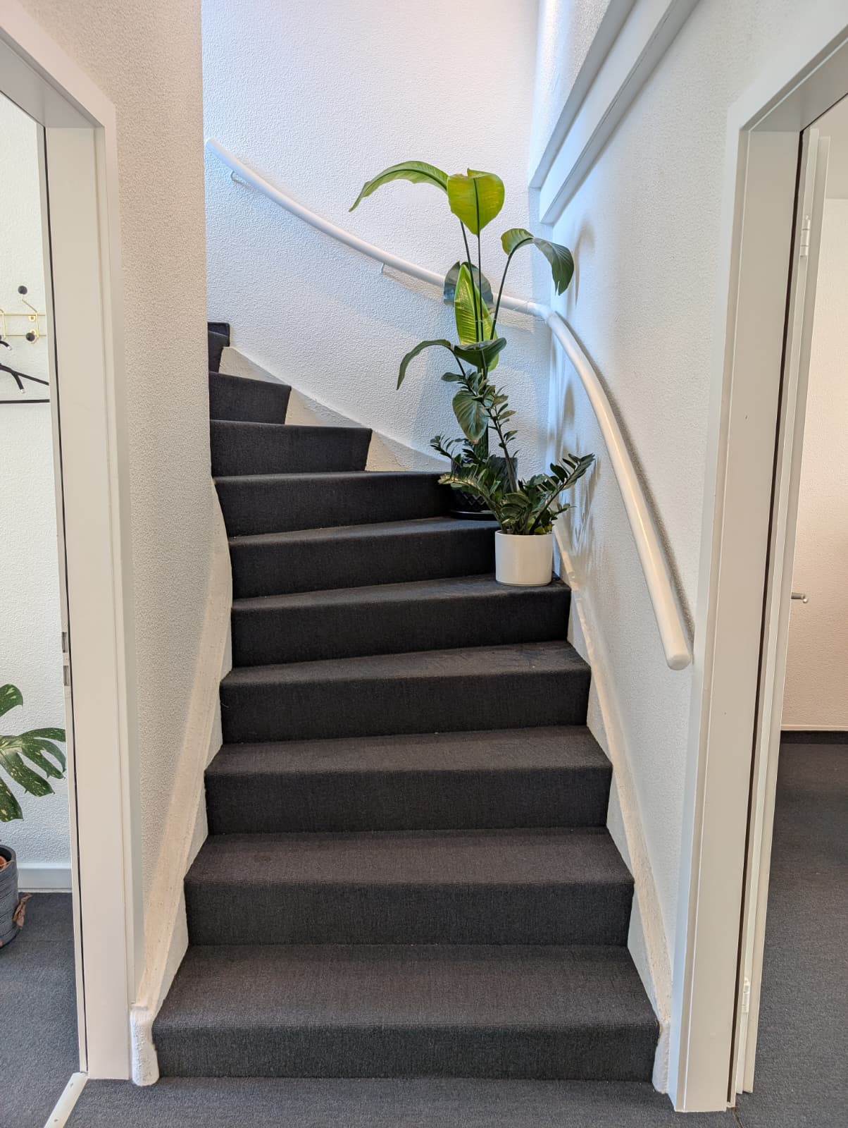 Eingangsbereich im Büro von Fokus Talents